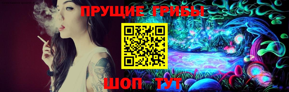 Майский  Галлюциногенные грибы Psilocybe  Вход с VPN 