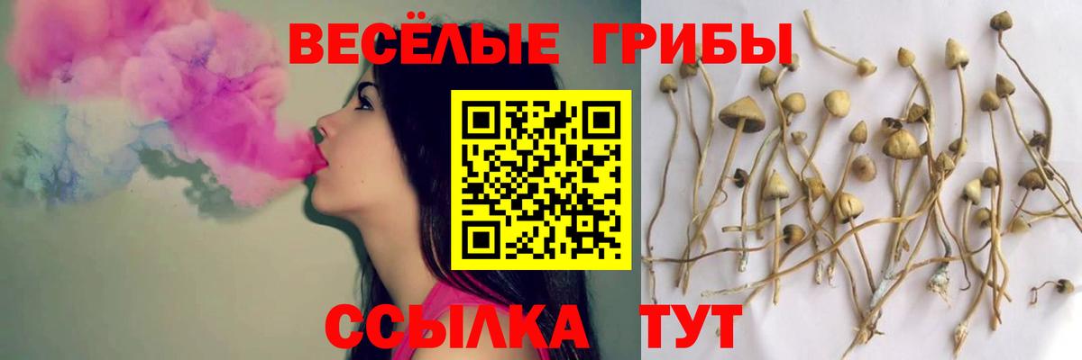 Галлюциногенные грибы мухоморы Майский